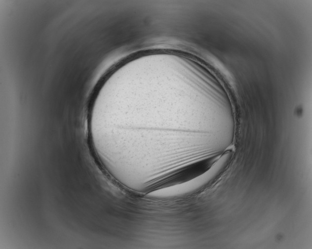 X0000099481368200805301610