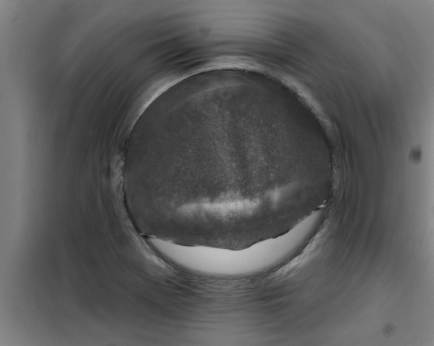 X0000099481369200805301610