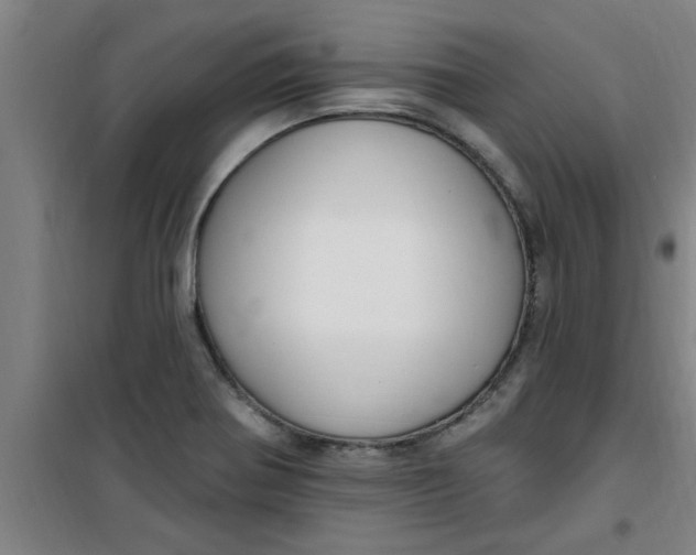 X0000099481370200805301609