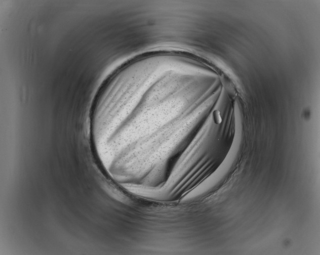 X0000099481372200805301609