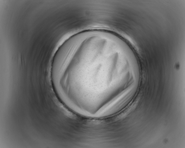 X0000099481374200805301609