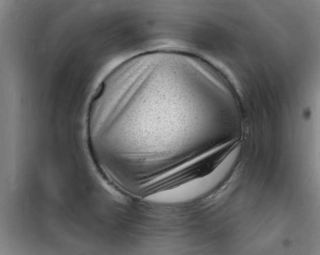X0000099481375200805301609