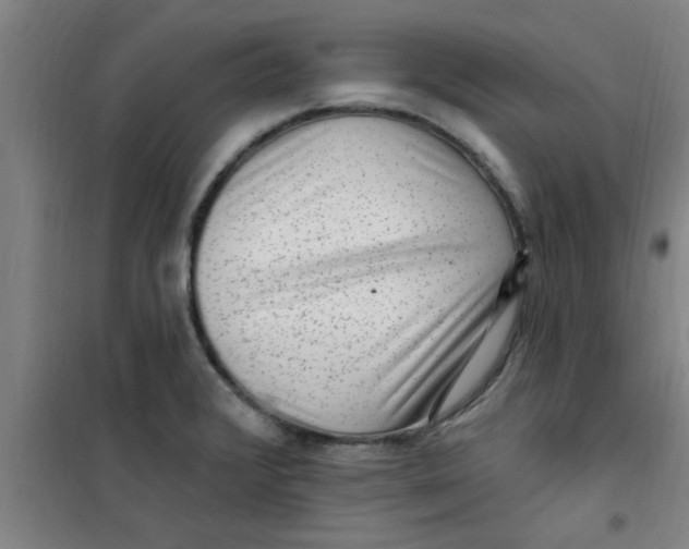 X0000099481376200805301609