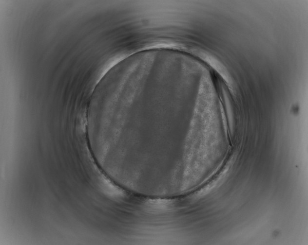 X0000099481377200805301609