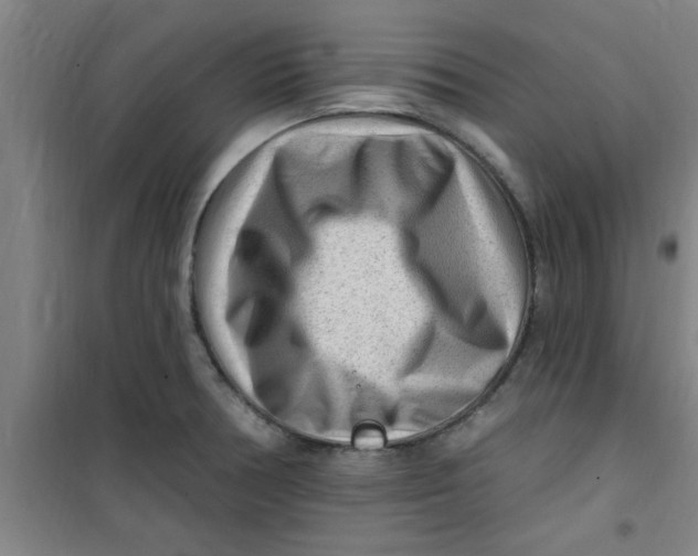 X0000099481378200805301609
