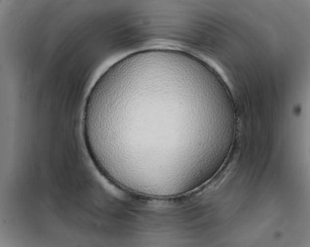 X0000099481379200805301609