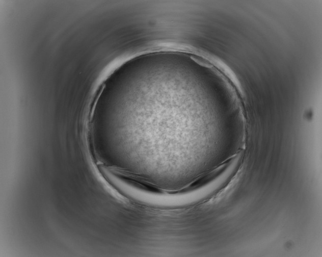 X0000099481381200805301609