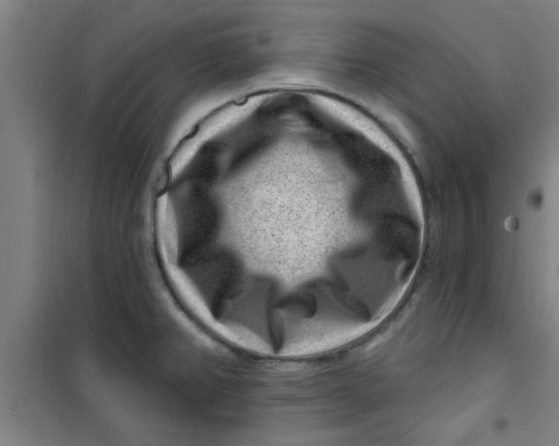 X0000099481382200805301609