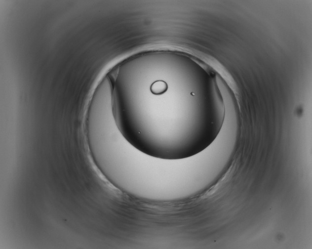 X0000099481388200805301609