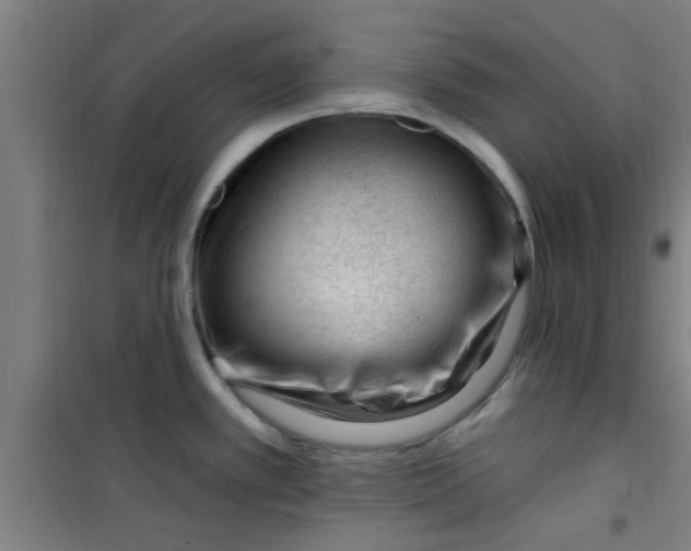 X0000099481389200805301609