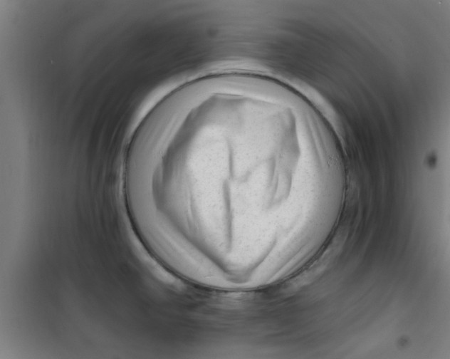 X0000099481390200805301609