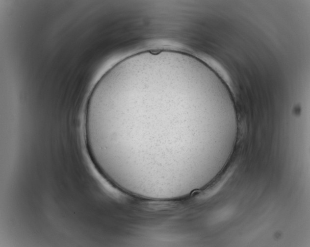 X0000099481391200805301609