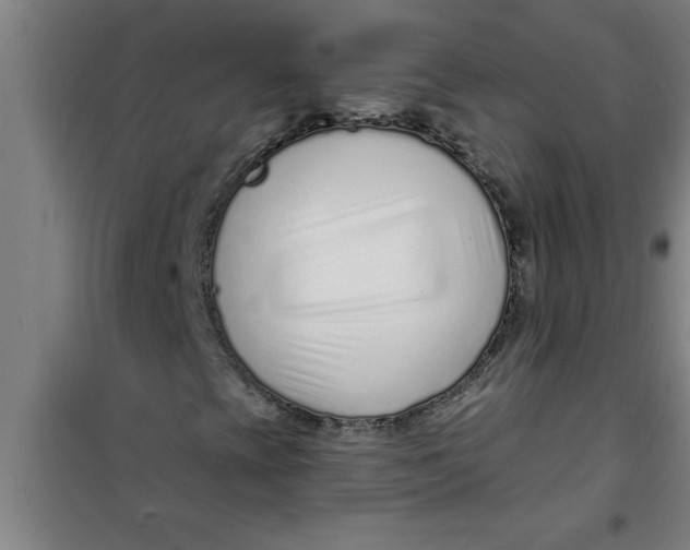X0000099481393200805301608
