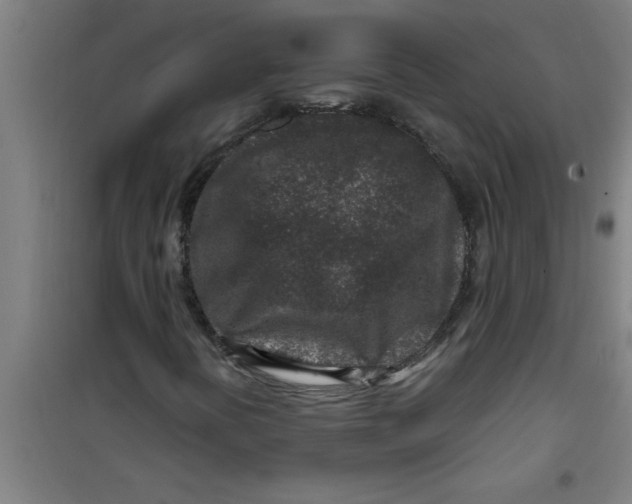 X0000099481394200805301608