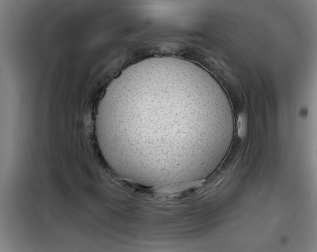X0000099481395200805301608