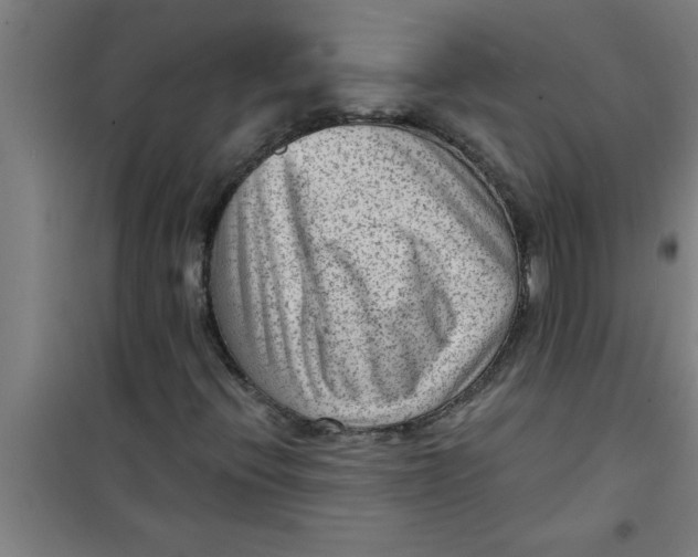 X0000099481396200805301608