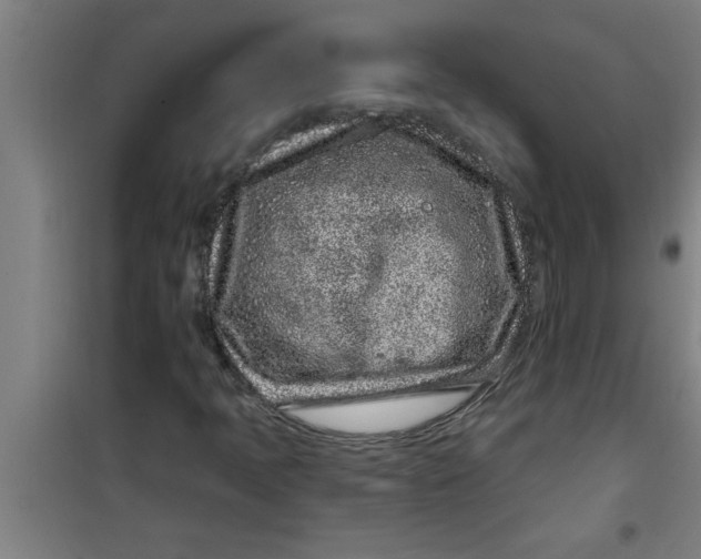 X0000099481397200805301608