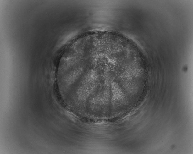 X0000099481399200805301608