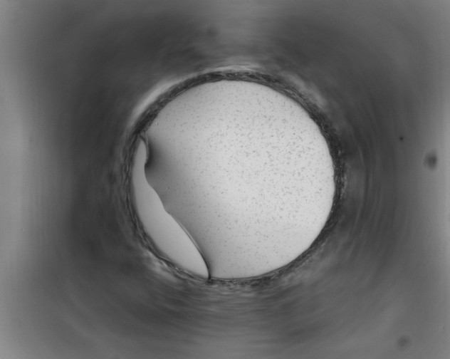 X0000099481400200805301608