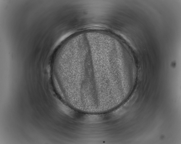 X0000099481402200805301608