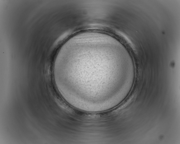 X0000099481403200805301609