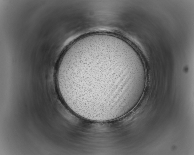X0000099481404200805301609