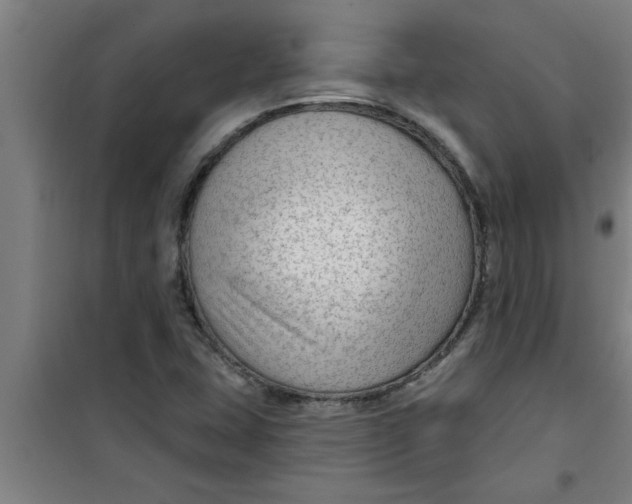 X0000099481407200805301609
