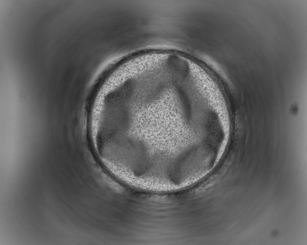 X0000099481408200805301609