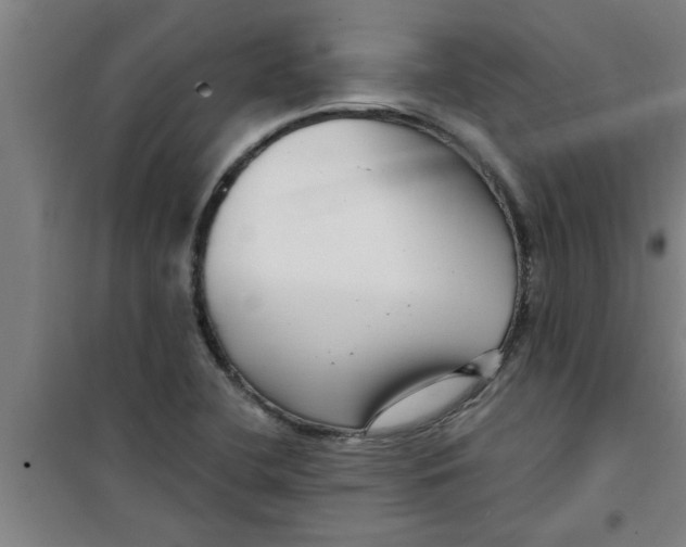 X0000099481412200805301609