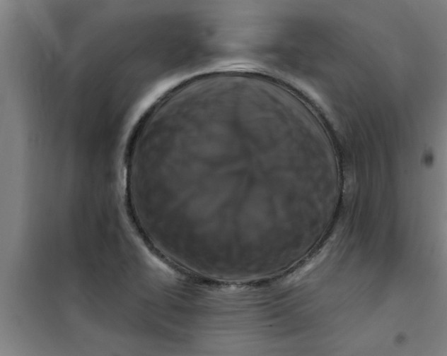 X0000099481414200805301609