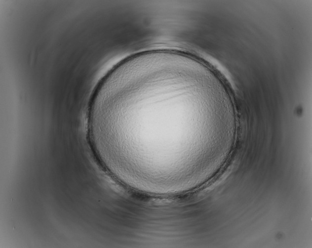 X0000099481415200805301609