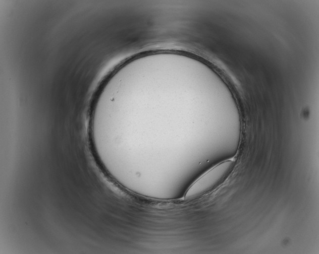 X0000099481416200805301609