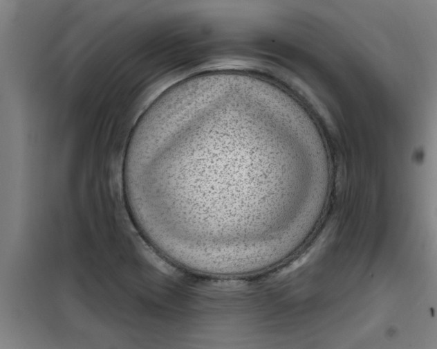 X0000099481417200805301609