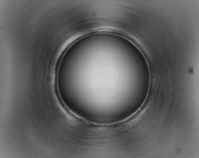 X0000099481418200805301609