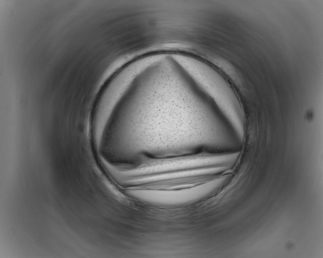 X0000099481420200805301609