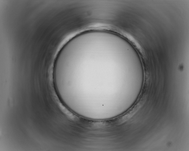 X0000099481421200805301609