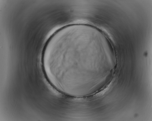 X0000099481422200805301609