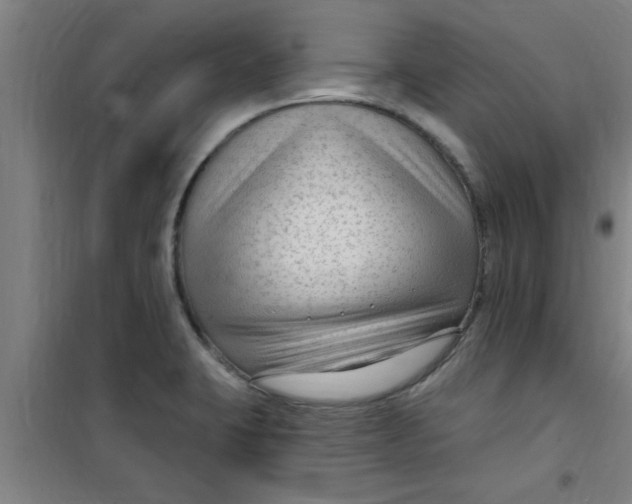 X0000099481423200805301609