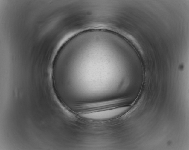X0000099481424200805301609