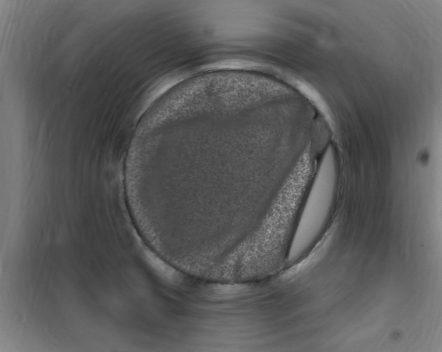 X0000099481425200805301609