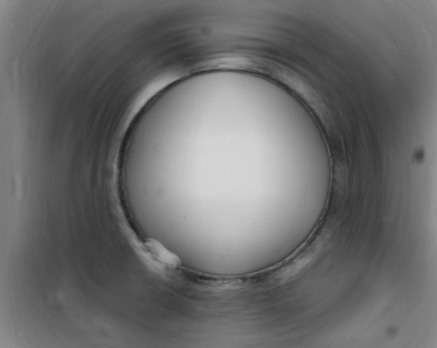 X0000099481426200805301609