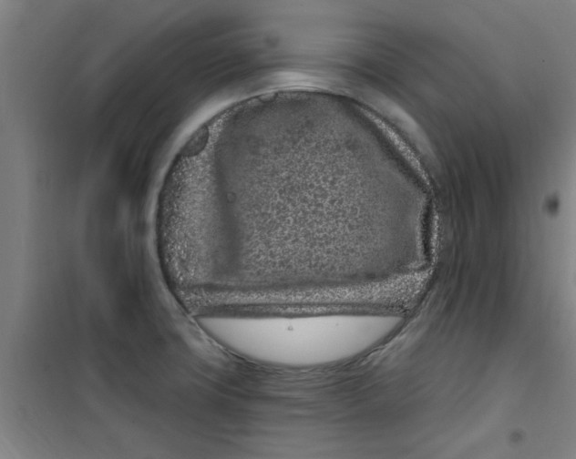 X0000099481427200805301609