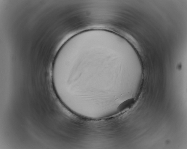 X0000099481428200805301609