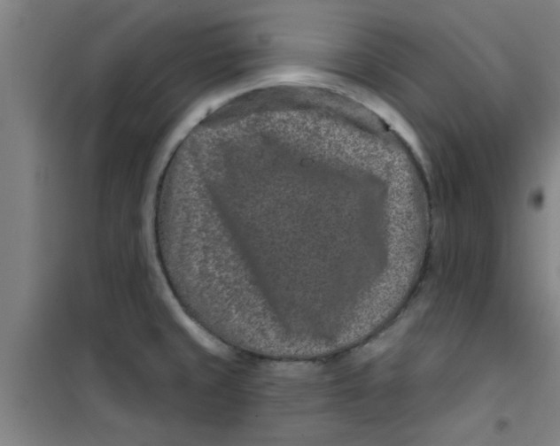 X0000099481429200805301609
