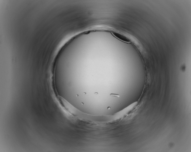 X0000099481430200805301609
