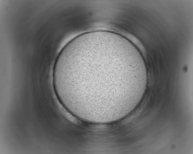 X0000099481431200805301609