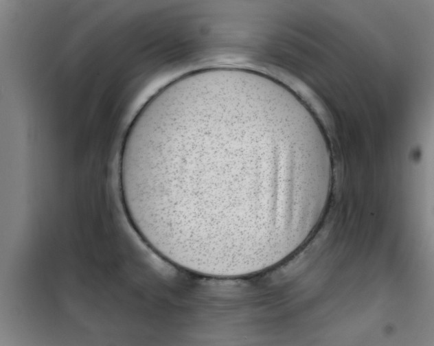 X0000099481432200805301609