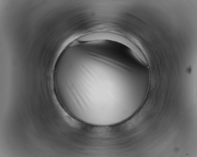 X0000099481434200805301609