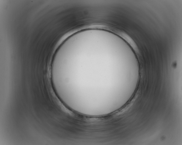X0000099481436200805301609