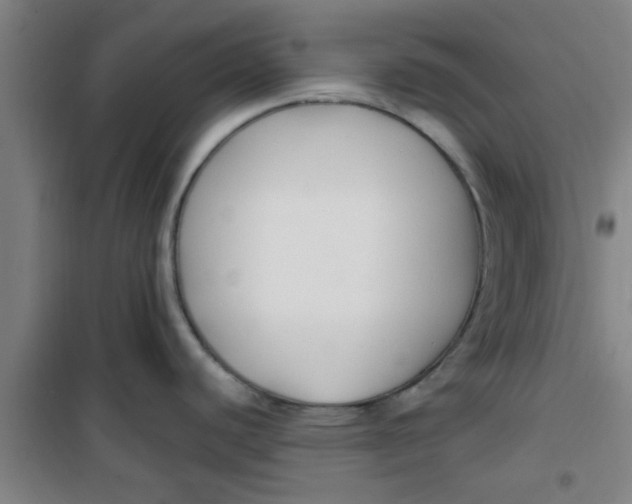 X0000099481440200805301609
